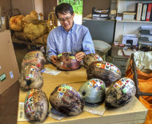 Mail a coconut from Hawaii Post Office